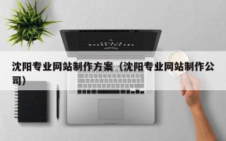 泸州沈阳专业网站制作方案（沈阳专业网站制作公司）